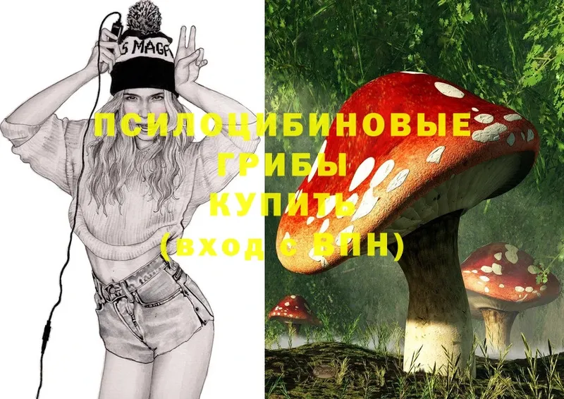 Галлюциногенные грибы Magic Shrooms  darknet телеграм  Пыталово 